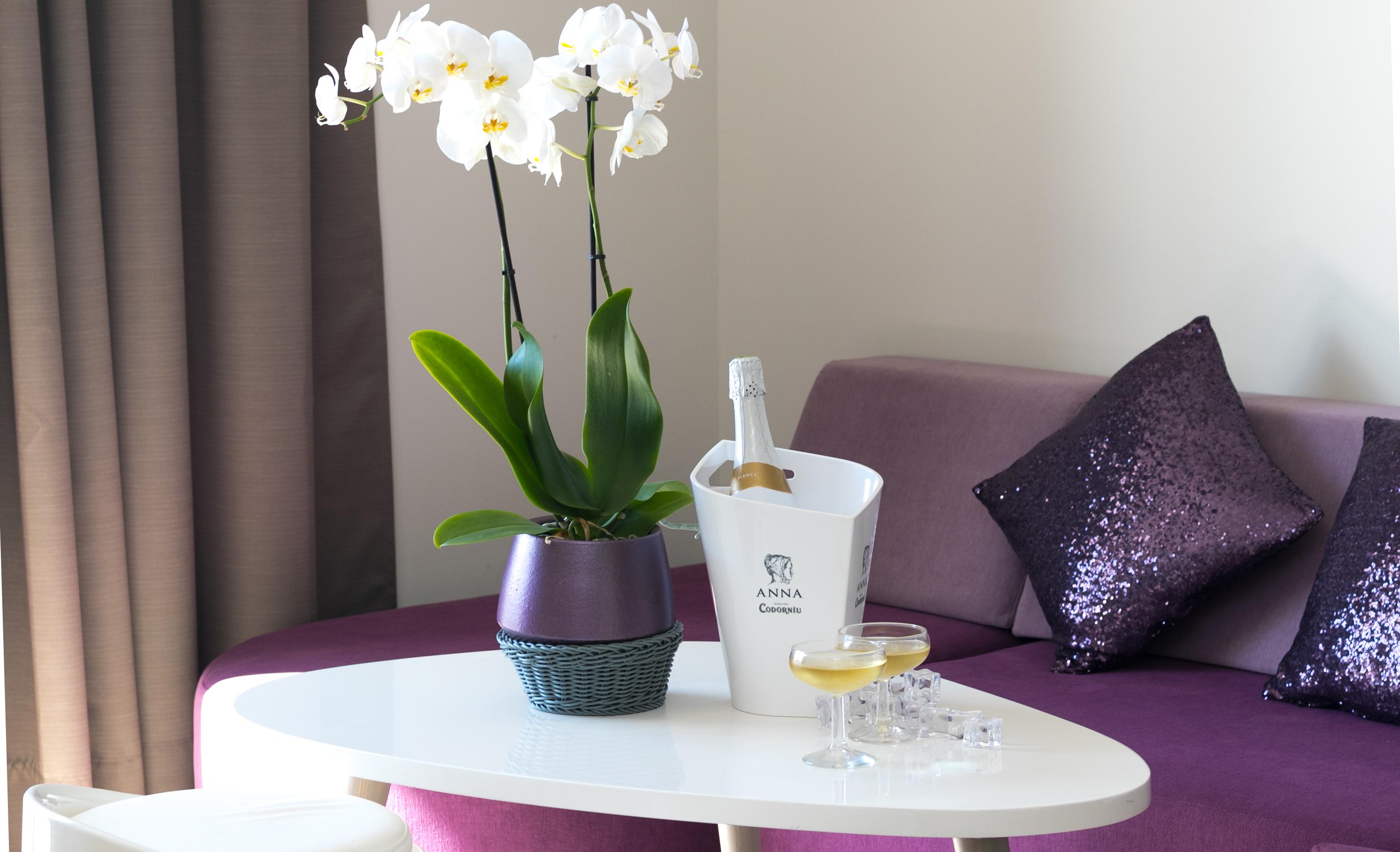 The Purple Hotel - Adults Only サンアントニオアバド エクステリア 写真